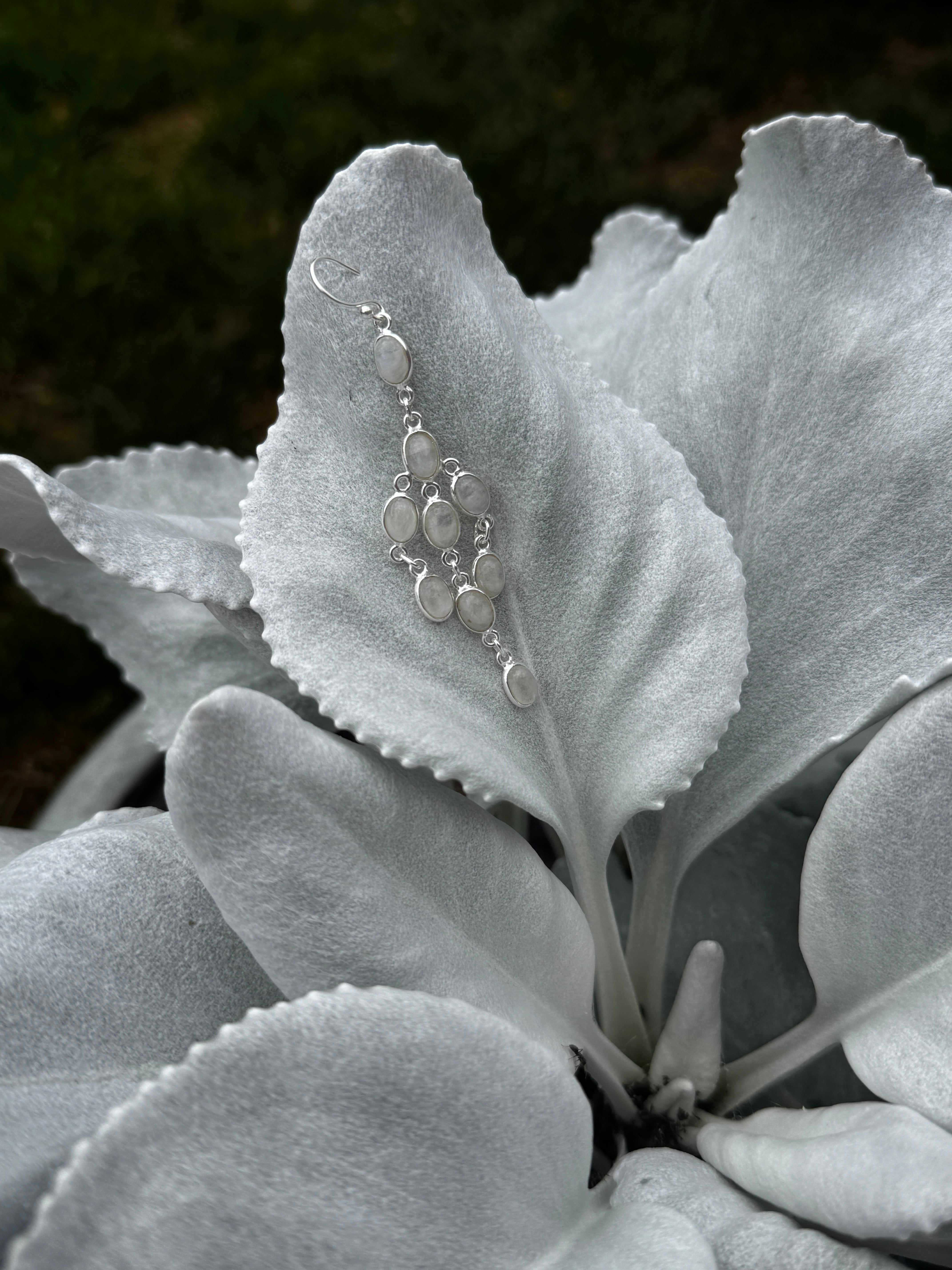 Moonstone Waterfall Earrings Silver 925